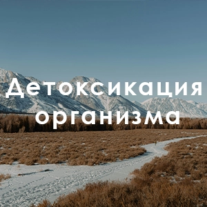 Детоксикация организма