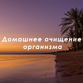 Домашнее очищение организма