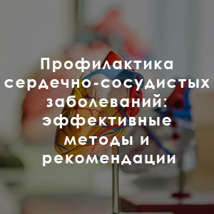Профилактика сердечно-сосудистых заболеваний: эффективные методы и рекомендации