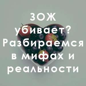ЗОЖ убивает? Разбираемся в мифах и реальности